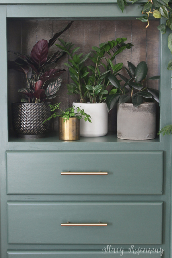 and armoire filled with plants