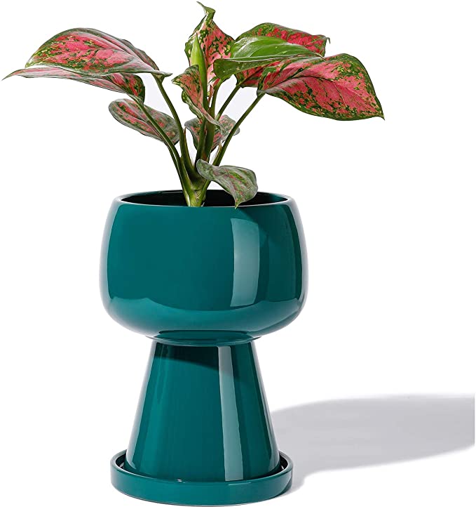 modern pedestal planter