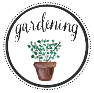 gardening-series