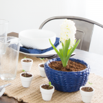 Hyacinth Bowl {Styled X3}
